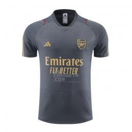 Camiseta de Entrenamiento Arsenal 23-24 Gris