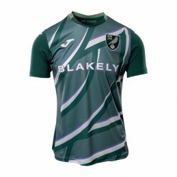 2ª Equipacion Camiseta Norwich City 25-26