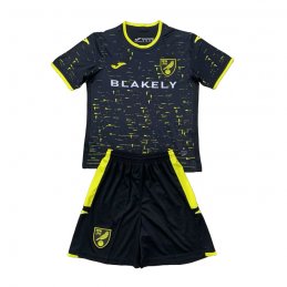 2a Equipacion Camiseta Norwich City Nino 24-25