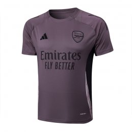 Camiseta de Entrenamiento Arsenal 24-25 Gris Purpura