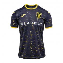 2a Equipacion Camiseta Norwich City 24-25