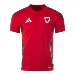 1ª Equipacion Camiseta Gales 2024
