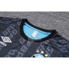 Camiseta de Entrenamiento Gremio 2023-24 Azul
