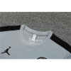Camiseta de Entrenamiento Paris Saint-Germain Jordan 23-24 Gris