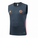 Camiseta de Entrenamiento Bayern Munich Sin Mangas 25-26 Gris Oscuro Camiseta de Entrenamiento Bayern Munich Sin Mangas 25-26 Gris Oscuro