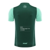 Camiseta de Entrenamiento Argelia 23-24 Verde