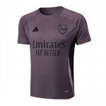 Camiseta de Entrenamiento Arsenal 24-25 Gris Purpura Camiseta de Entrenamiento Arsenal 24-25 Gris Purpura