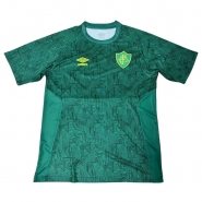 Camiseta de Entrenamiento Fluminense 23-24 Verde