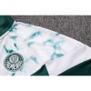 Chaqueta del Palmeiras 22-23 Verde