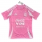 Camiseta Pre Partido del Argentina 2025 Rosa Camiseta Pre Partido del Argentina 2025 Rosa