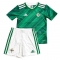 1ª Equipacion Camiseta Irlanda del Norte Nino 2020 1ª Equipacion Camiseta Irlanda del Norte Nino 2020