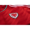 1a Equipacion Camiseta Gales 2022