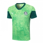 Camiseta de Entrenamiento Palmeiras 24-25 Verde Camiseta de Entrenamiento Palmeiras 24-25 Verde
