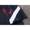 Camiseta Polo del Francia 2020 Azul