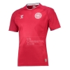 1ª Equipación Camiseta Dinamarca 2018 Tailandia