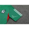 Camiseta de Entrenamiento Mexico 23-24 Verde
