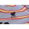 Camiseta Pre Partido del Liverpool 2022 Gris