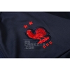 Chandal de Chaqueta del Francia Nino 20/21 Azul