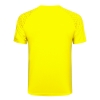 Camiseta de Entrenamiento Borussia Dortmund 2023-24 Amarillo