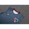 Camiseta de Entrenamiento Sao Paulo Sin Mangas 25-26 Gris