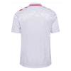 2ª Equipacion Camiseta Dinamarca 2024 Tailandia