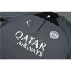 Chandal de Sudadera del Paris Saint-Germain Jordan 2023-24 Gris