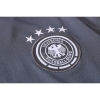 Chandal del Alemania Manga Corta 20-21 Gris
