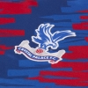 1ª Equipacion Camiseta Crystal Palace 22-23 Tailandia