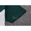 Camiseta de Entrenamiento Palmeiras 2022-23 Verde