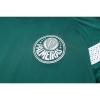 Camiseta de Entrenamiento Palmeiras 2023-24 Verde