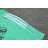 Camiseta Polo del Arsenal 22-23 Verde