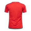 1a Equipacion Camiseta Gales 2022