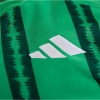 1ª Equipacion Camiseta Irlanda del Norte 2024