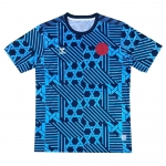 Camiseta de Entrenamiento Dinamarca 23-24 Azul Camiseta de Entrenamiento Dinamarca 23-24 Azul
