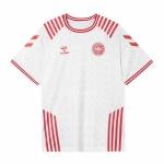 Camiseta Dinamarca Special 2022 Camiseta Dinamarca Special 2022