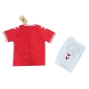 1ª Equipacion Camiseta Dinamarca Nino 2024