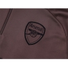 Chandal de Sudadera del Arsenal Nino 24-25 Gris Purpura