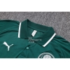 Camiseta Polo del Palmeiras 23-24 Verde