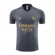Camiseta de Entrenamiento Arsenal 23-24 Gris