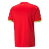 2a Equipacion Camiseta Ghana 2022 Tailandia