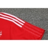 Camiseta Polo del Arsenal 2022-23 Rojo