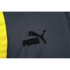 Chandal de Sudadera del Borussia Dortmund 23-24 Gris