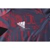 Chandal de Sudadera del Bayern Munich 22-23 Rojo y Gris
