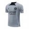 Camiseta de Entrenamiento Paris Saint-Germain Jordan 22-23 Gris Camiseta de Entrenamiento Paris Saint-Germain Jordan 22-23 Gris