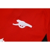 Camiseta de Entrenamiento Arsenal 25-26 Rojo