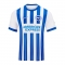 1ª Equipacion Camiseta Brighton & Hove Albion 24-25 1ª Equipacion Camiseta Brighton & Hove Albion 24-25