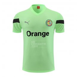 Camiseta de Entrenamiento Senegal 2023-24 Verde
