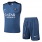 Chandal del Paris Saint-Germain Sin Mangas 25-26 Gris Chandal del Paris Saint-Germain Sin Mangas 25-26 Gris