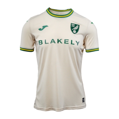 3a Equipacion Camiseta Norwich City 24-25