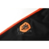 Chandal de Chaqueta del Paises Bajos 2020 Naranja